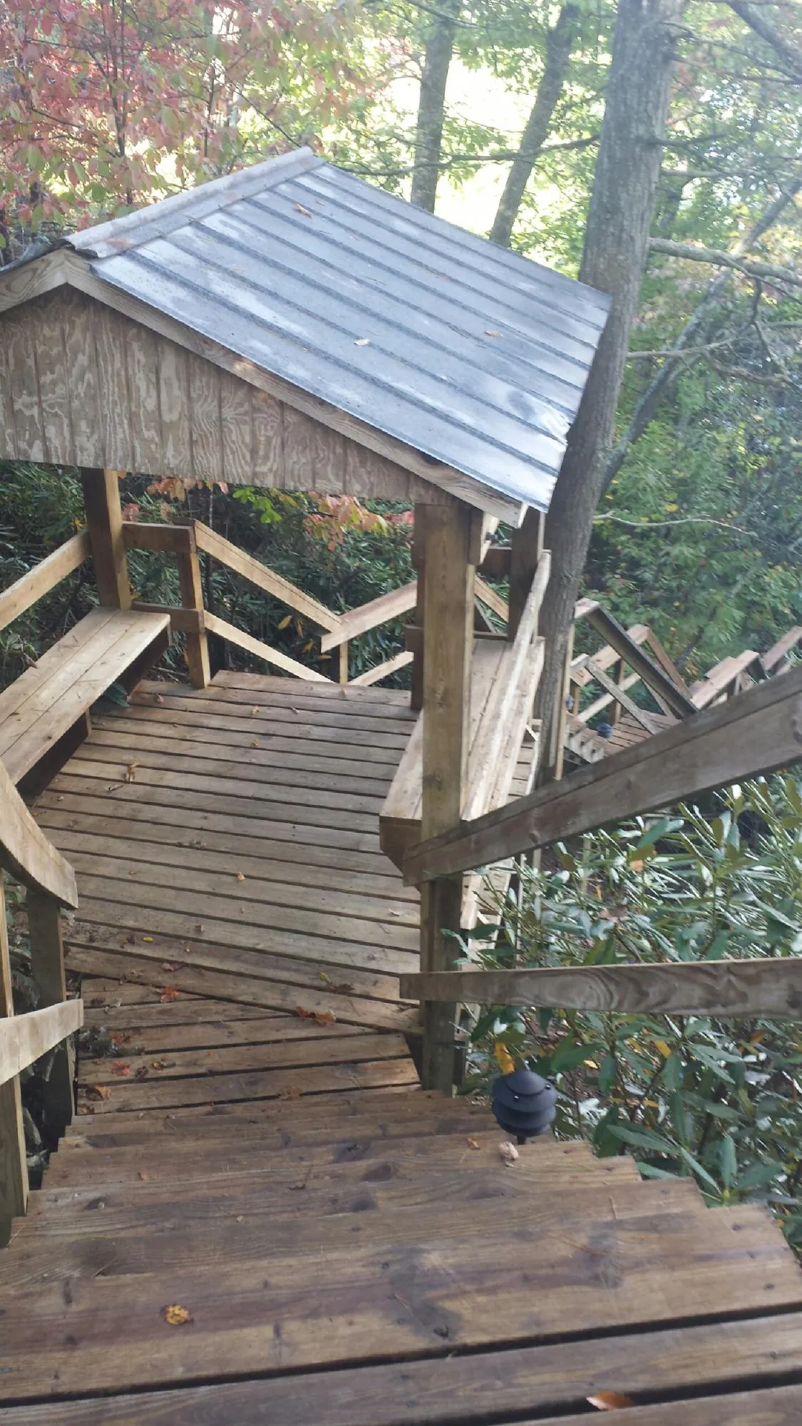 Metal roofed shelter over wooden steps on a wooded walkway — Skylight Repair & Installation work by our crew in Bluewater